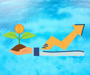 Personal Financial Management By RP Srijan